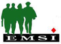 logoemsi